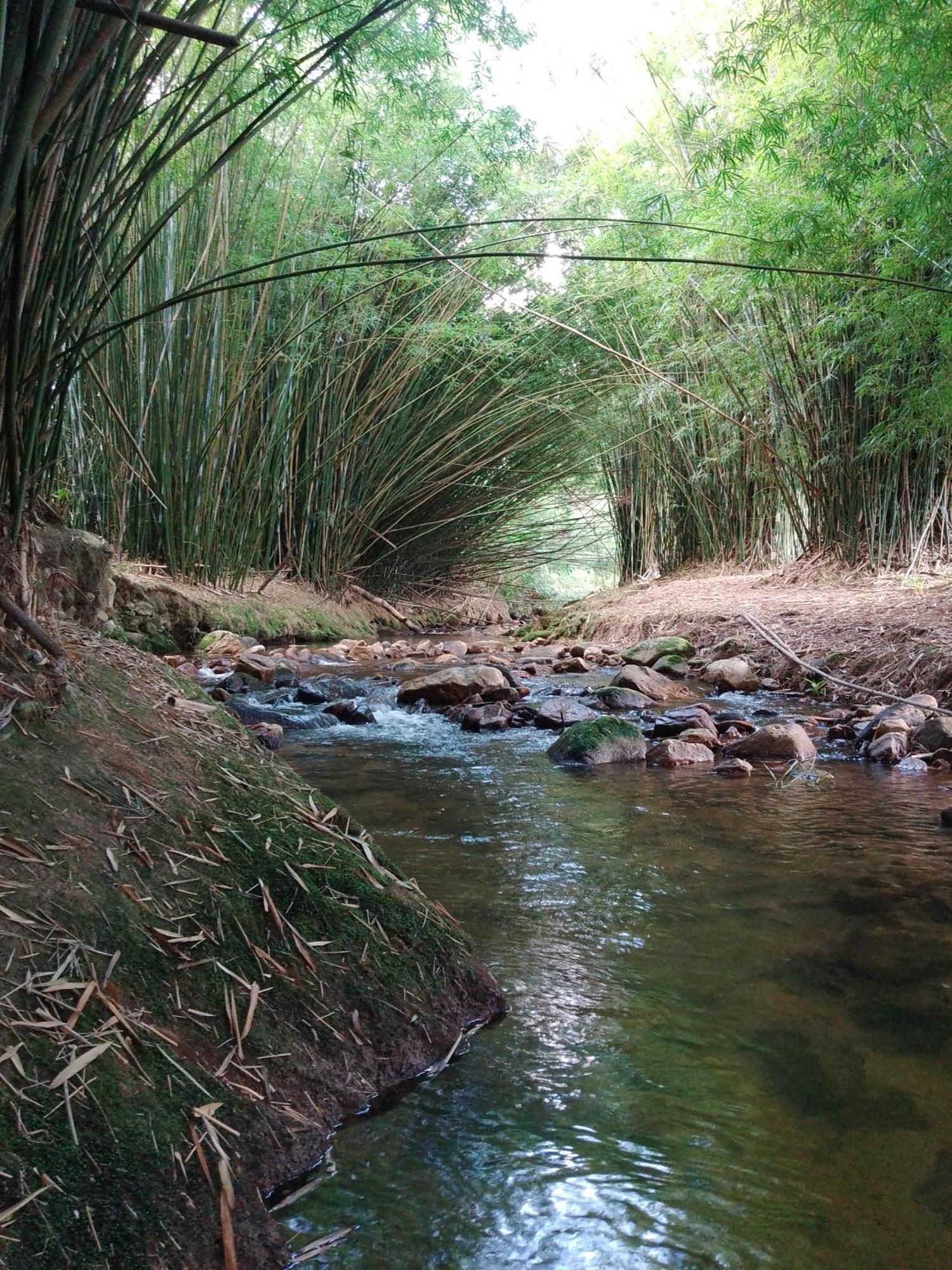 Rancho Pe Da Pedra Villa เซาเบนโตโดซาปูไค ห้อง รูปภาพ